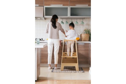 [PRE ORDER] Learning Tower (with Double-sided Slide-Small)
