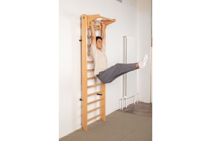 [PRE ORDER] Avdar Gym Wall Bar 