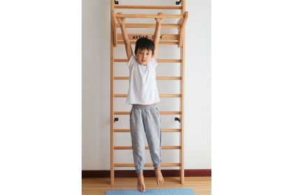 [PRE ORDER] Avdar Gym Wall Bar 