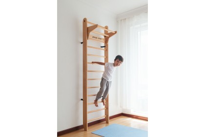 [PRE ORDER] Avdar Gym Wall Bar 