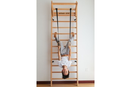 [PRE ORDER] Avdar Gym Wall Bar 