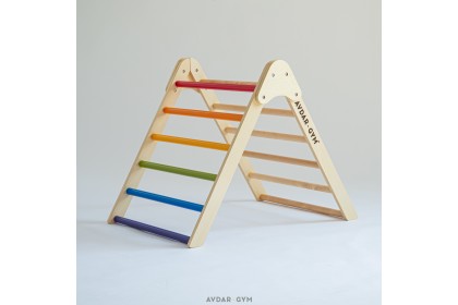 [PRE ORDER] Avdar Gym Triangle Climber (without Double-sided Slide)
