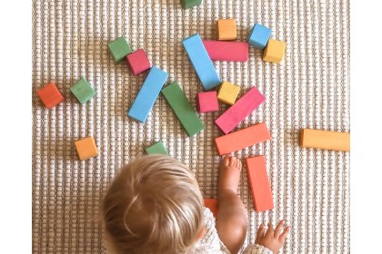 Avdar Bricks and Cubes Set Avdar Bricks and Cubes Set