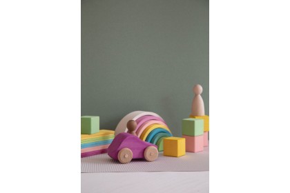 Avdar Travel Kit (with car)