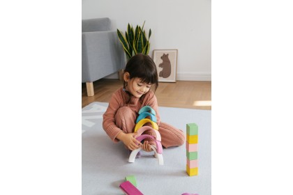 Avdar Travel Kit (with car)