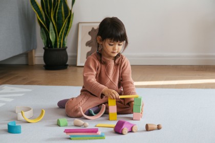 Avdar Travel Kit (with car)