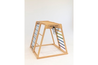 Avdar Gym Little Basketball Hoop